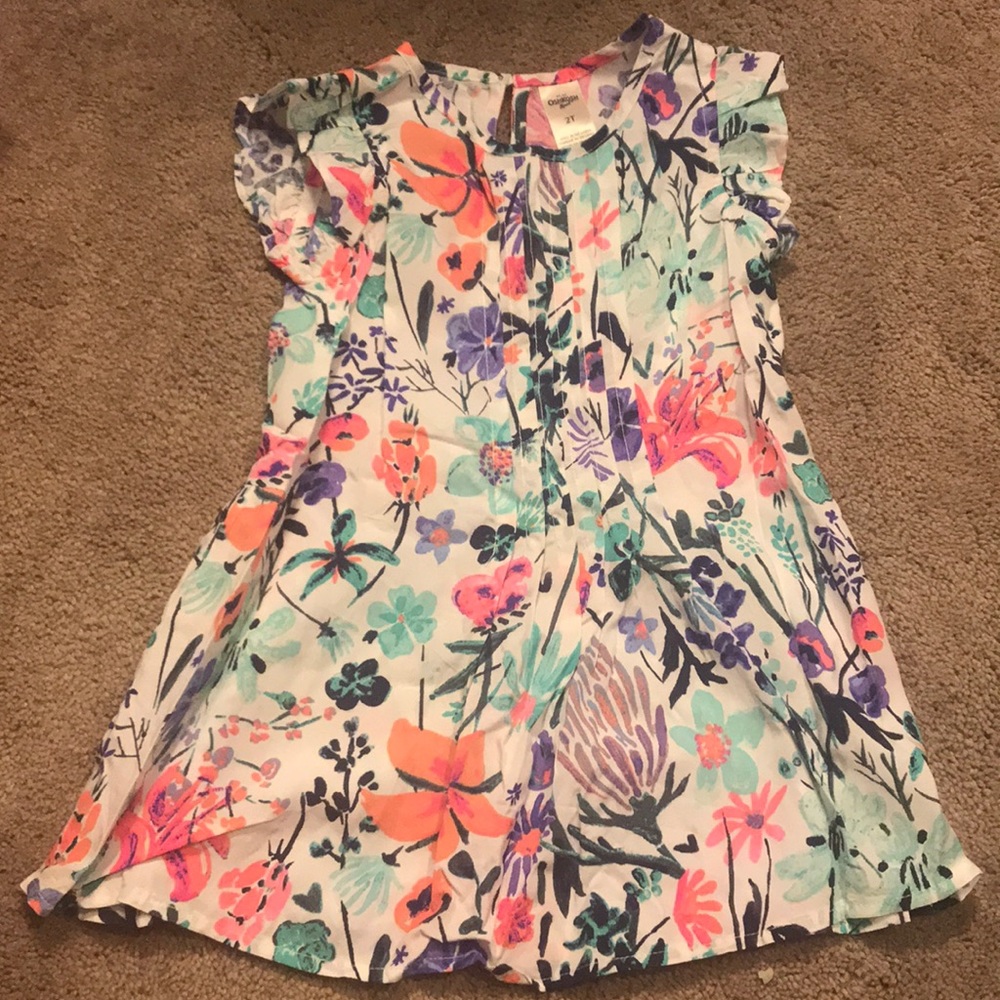 2t Oshkosh dress